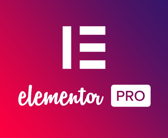 Get Elementor Pro for Free in 2024: The Complete Guide by TheRaptor’sEye